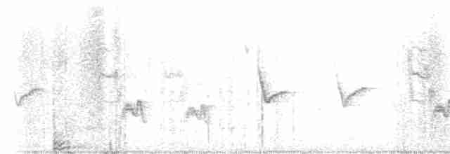 Vireo de Hutton (grupo stephensi) - ML616017826