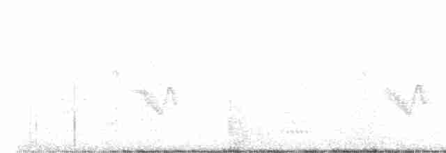 Viréo de Hutton (groupe stephensi) - ML616017827