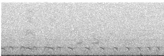 Kuzeyli Gri Karıncaavcısı (punctatus/interpositus) - ML616017856