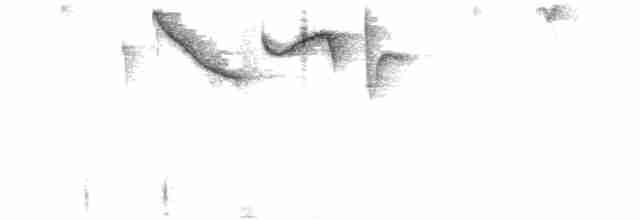 Kahverengi Tepeli Çalı Serçesi - ML616018030