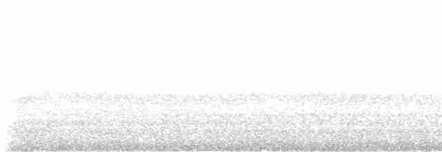 Weißbrustsegler - ML616018484