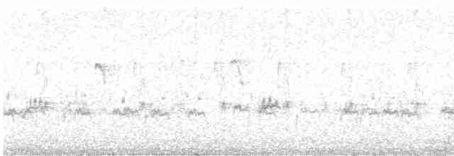 Evening Grosbeak (type 4) - ML616018935
