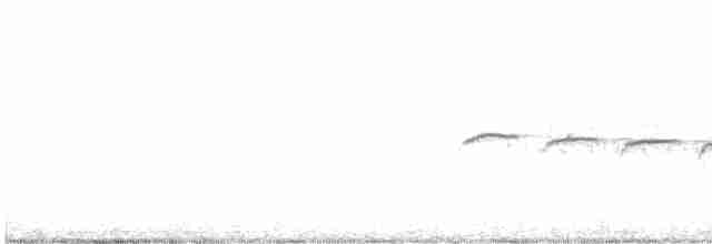 Field Sparrow - ML616019642