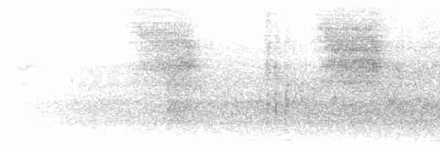 hýl rudoprsý [skupina mexicanus] - ML616020031