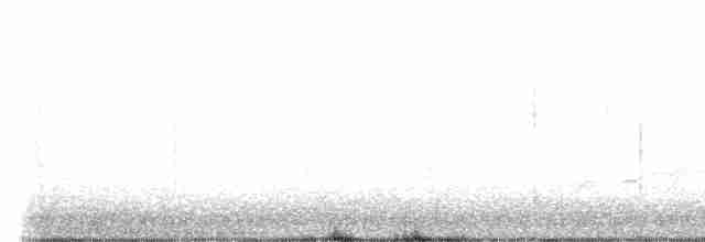 Carouge à épaulettes - ML616020217