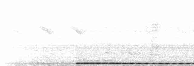 Белобровый кукаль (superciliosus/loandae) - ML616021850