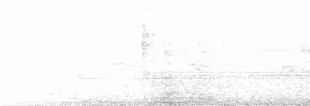 Белобровый кукаль - ML616021877