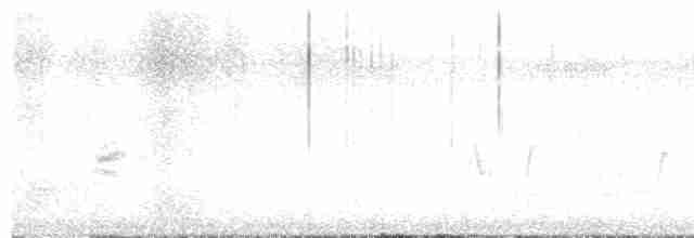 Тремблер прямодзьобий - ML616021901