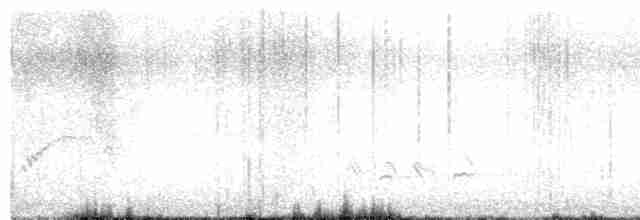 Тремблер прямодзьобий - ML616021902