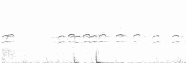 Шишкар білокрилий - ML616022518
