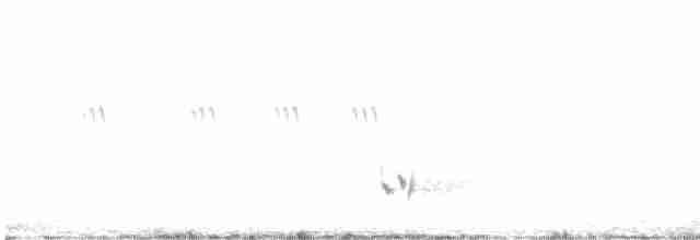 prærielerketrupial - ML616022695
