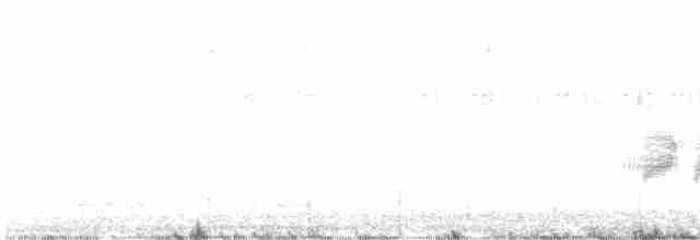 Лесной мухолов - ML616022758
