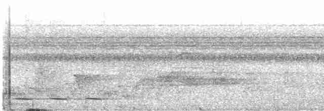 chřástalík běloskvrnný - ML616022760