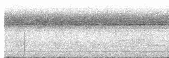 Широкодзьоб чорноголовий - ML616022772