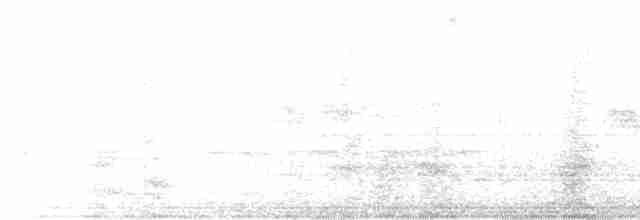 Белобровый кукаль (superciliosus/loandae) - ML616022945