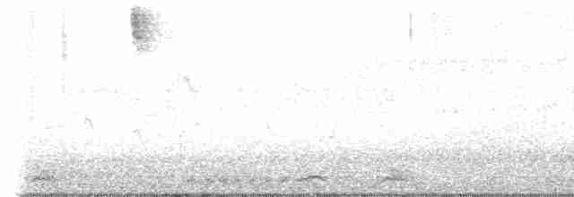 White-breasted Waterhen - ML616023623