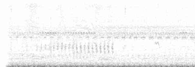 小秧雞 - ML616025199