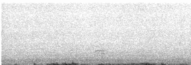 Морянка - ML616025802