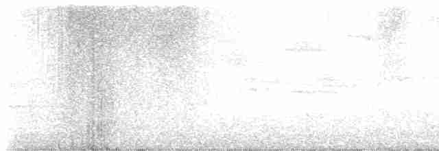 puštík obecný - ML616026218