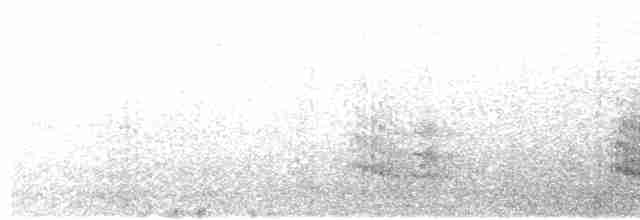 鳳頭燕鷗 - ML616026603