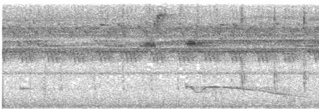 Büyük Kulaklı Çobanaldatan - ML616028466