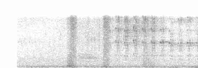 strakapoud hnědohlavý - ML616028805