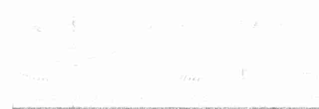 Каролинский крапивник - ML616031700