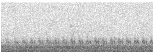 Büyük Yerkoşarı - ML616032358