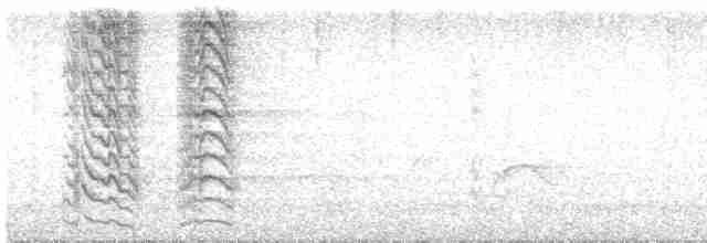 Длинноклювая которра - ML616033590