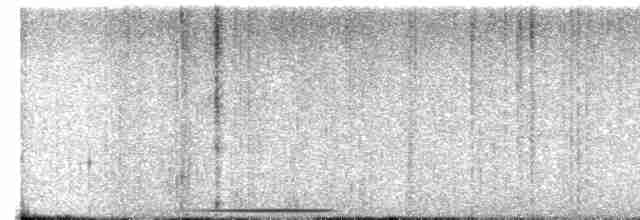 Chiriqui Quail-Dove - ML616034554