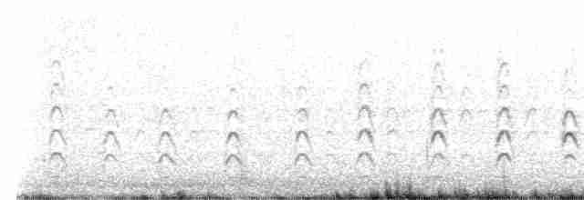 svartkronestylteløper (mexicanus) - ML616034655