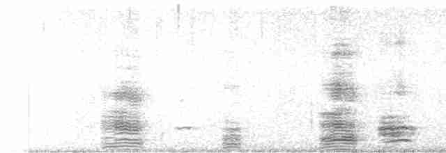 Белый ибис - ML616036539