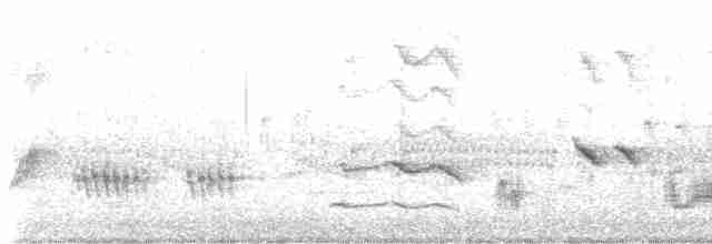 Длинноклювый пересмешник - ML616038019
