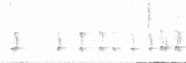 Шишкар ялиновий - ML616038020