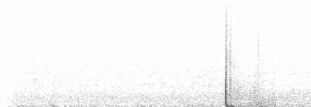 Орел-чубань рудошиїй - ML616038263