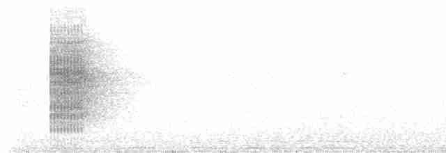 White-collared Manakin - ML616038271