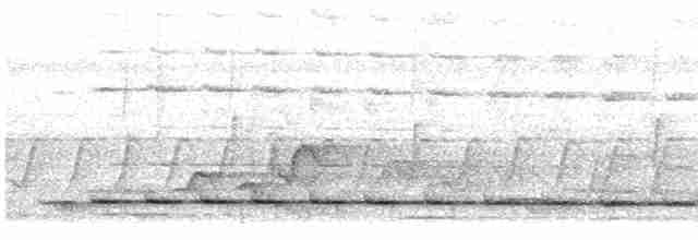 Torquéole des bois (groupe chloropus) - ML616039517