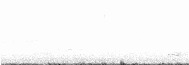 Cuervo Pescador - ML616040419