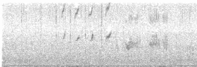 Mirlo Acuático Norteamericano - ML616041431