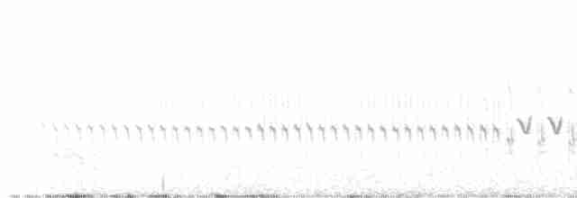 White-winged Crossbill - ML616042367