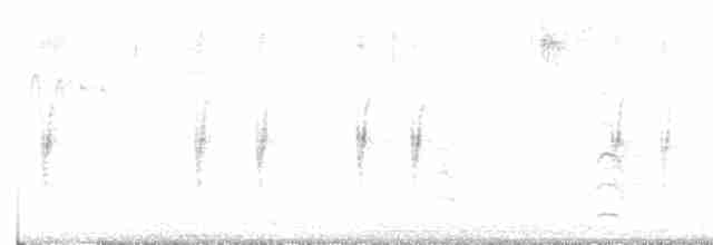 Шишкар ялиновий - ML616042498