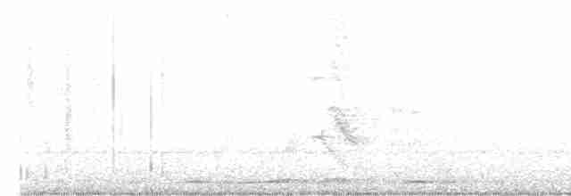Bar-shouldered Dove - ML616042589