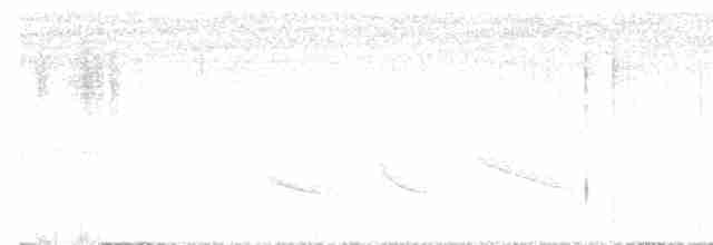 Зернолуск зеленокрилий - ML616042721