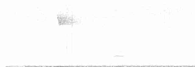 Белошейный дрозд - ML616042750