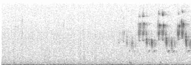 Ardıç Baştankarası - ML616044823