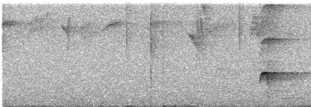 Kısa Gagalı Kızılca Güvercin - ML616048982