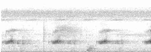 Toucan à carène - ML616049533