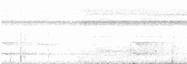 Güneyli Bükük Gagalı Tiran - ML616049690