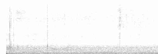 Kızıl Karınlı Ardıç - ML616050018