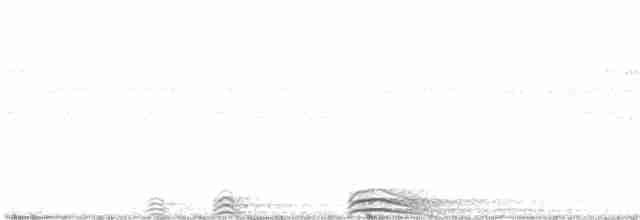 Kara Yüzlü Alaca Baykuş - ML616050894